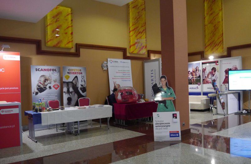 Trhy a venkovní akce