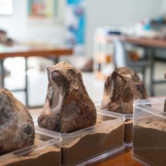 Muzeum Ziemi Juna