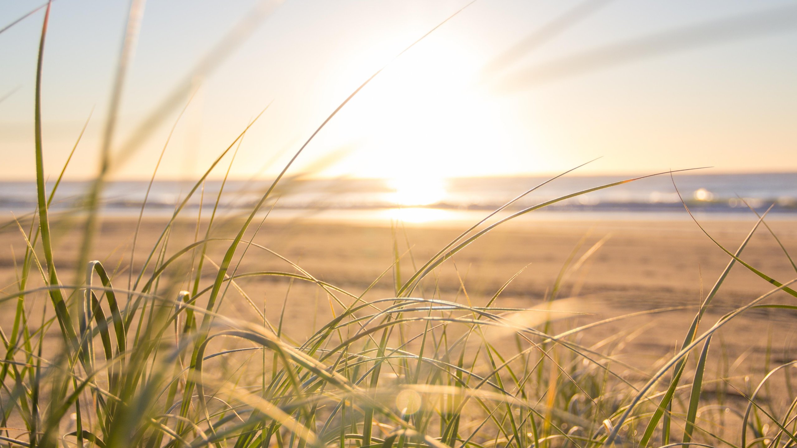 Banner-Hintergrund