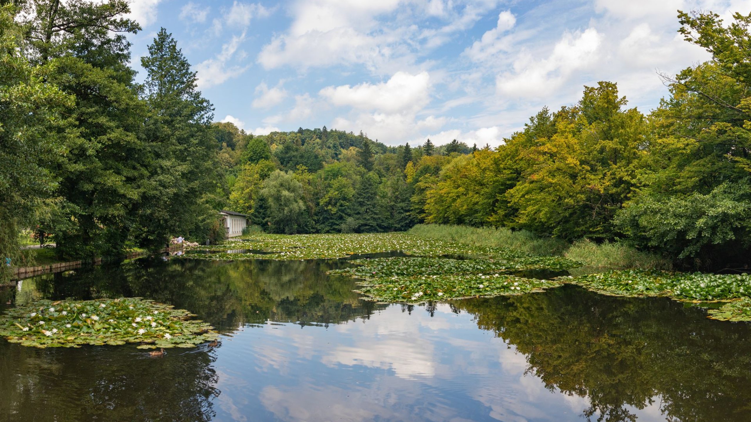 Wzgórze Tadeusza Kościuszki