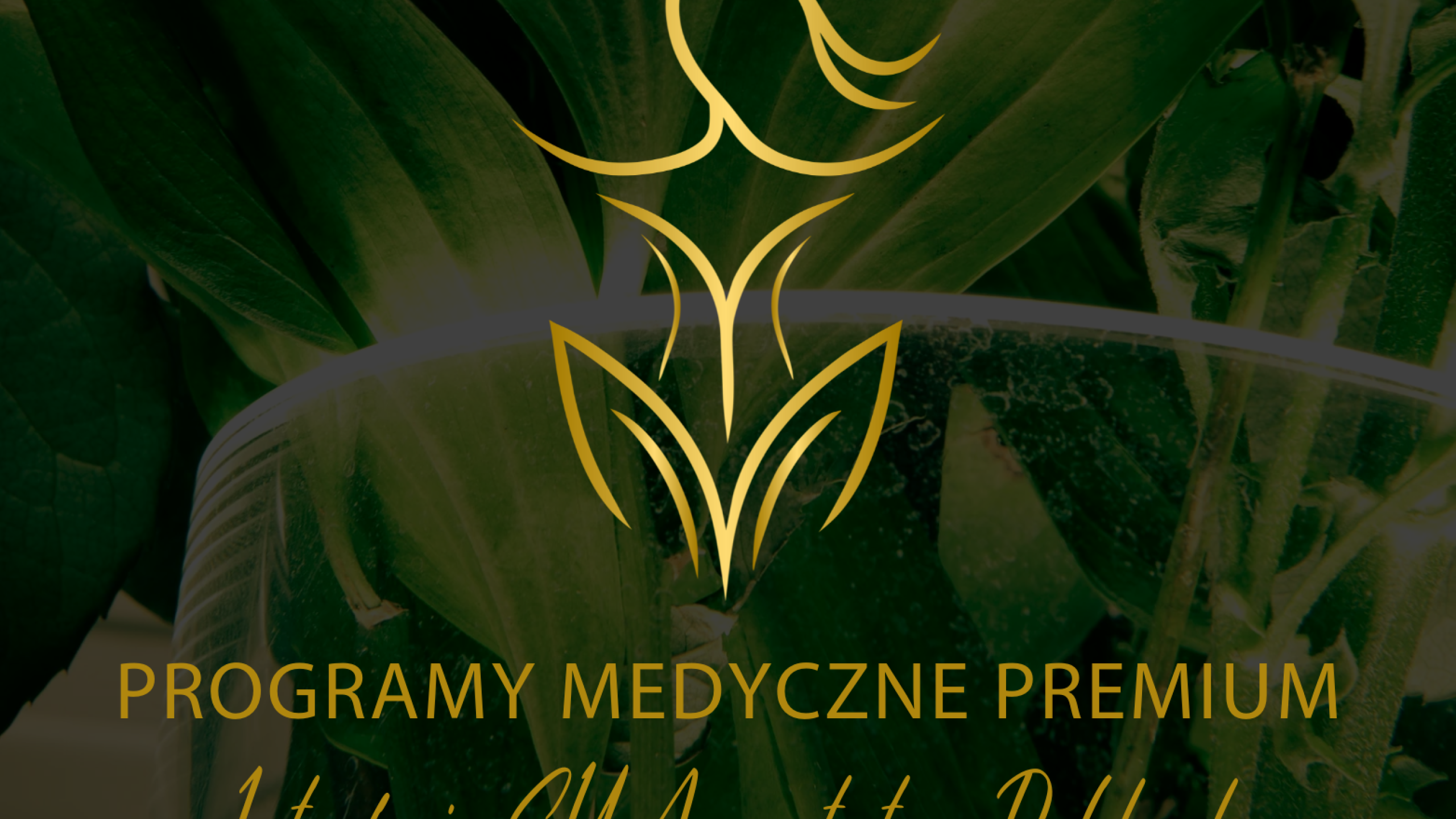 NOWOŚĆ! Programy Medyczne Premium