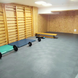 Sport and recreation