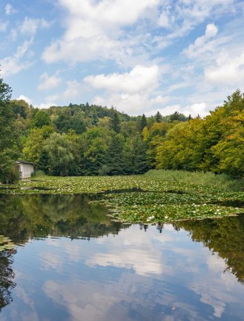 Wzgórze Tadeusza Kościuszki
