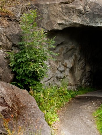 Pieczara Czerwona Jama