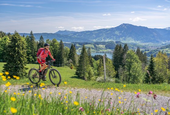 Trasa posiada 3 punty dostępowe
