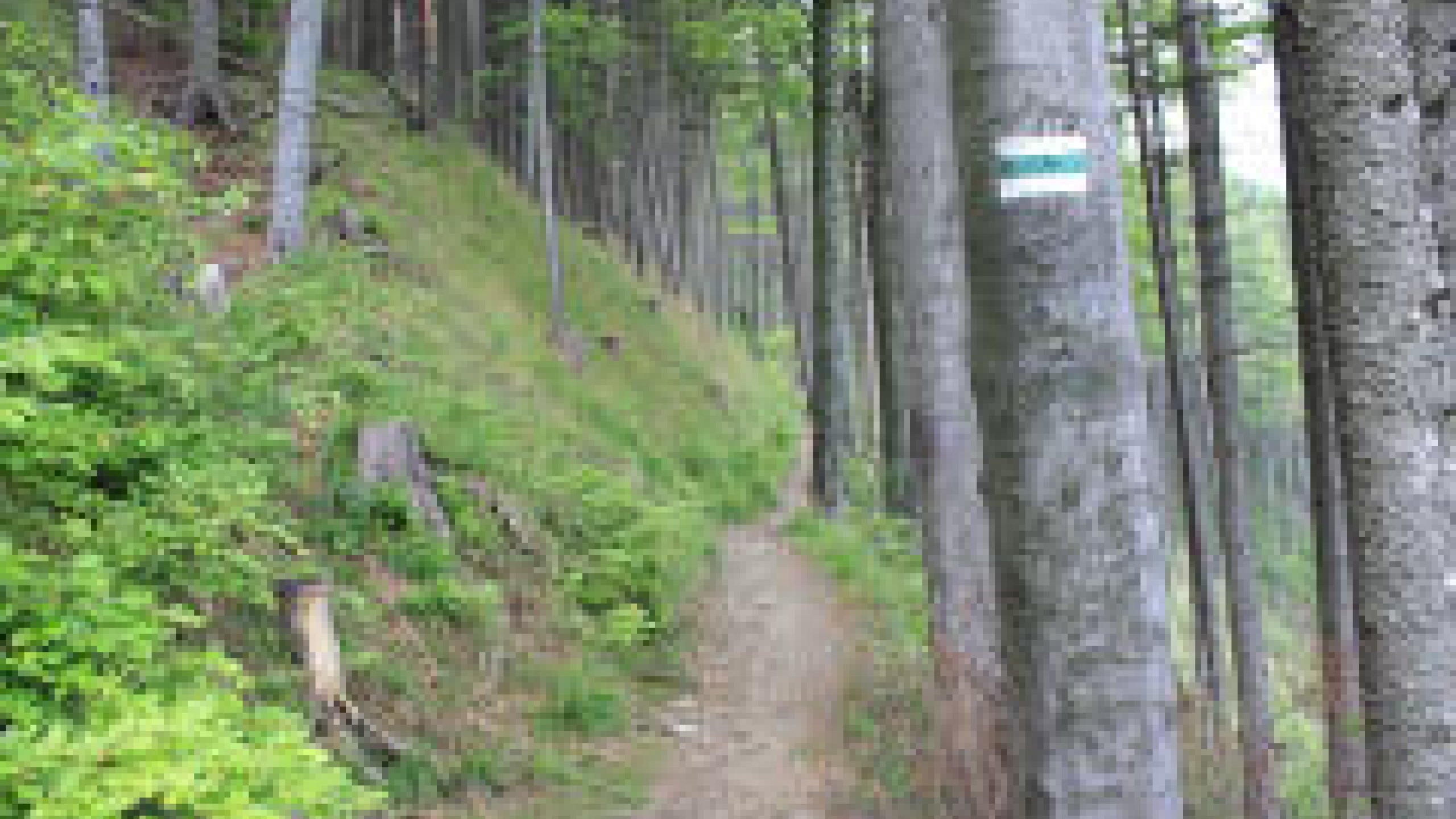 Szczyty w Beskidzie Śląskim – poznaj 5 miejsc, które musisz zdobyć