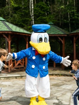 Animacje dla całych rodzin