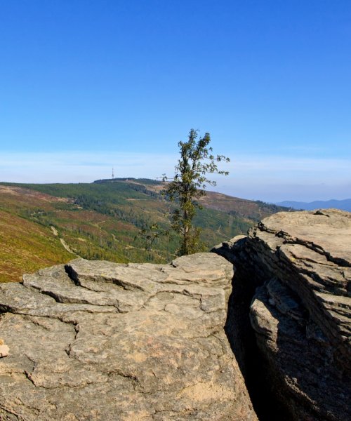Obowiązkowe punkty zwiedzania
