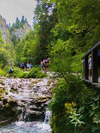 Homole Gorge