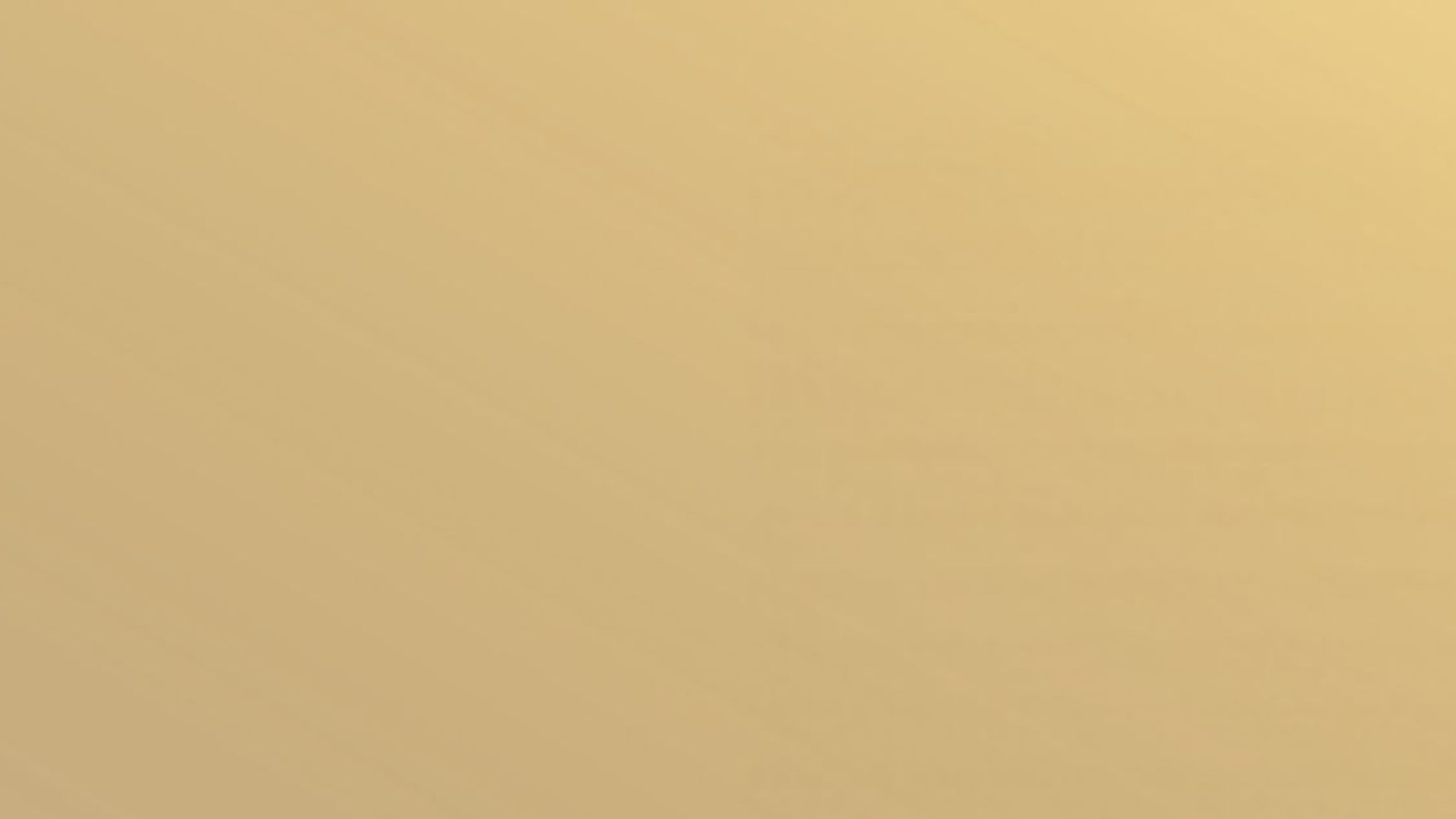 My Place Bar & Restaurant laureatem plebiscytu Orły Gastronomii 2025!