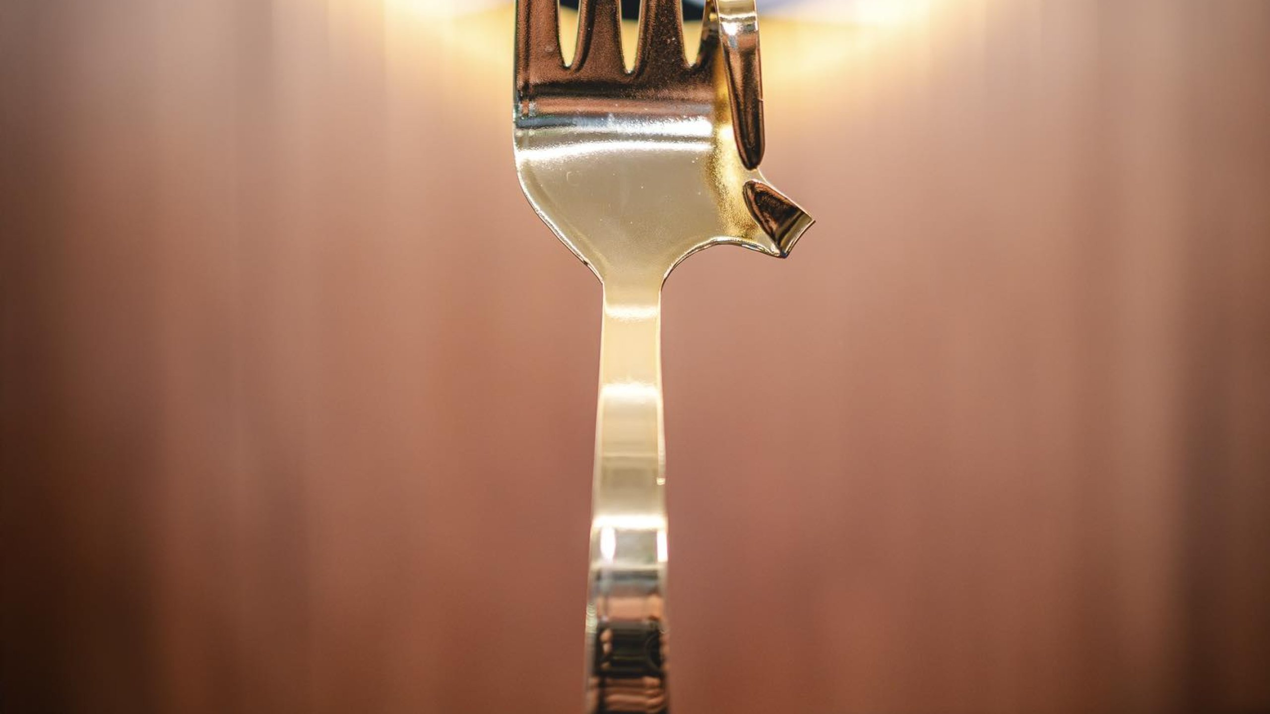 Złoty Widelec 2025 dla My Place Bar & Restaurant!