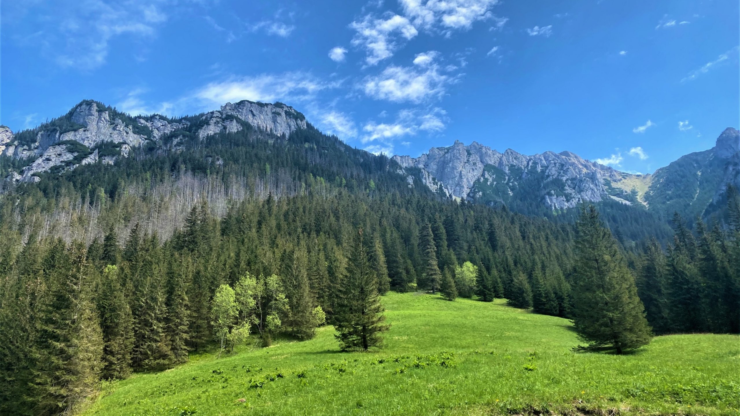 Hiking trails, including Kościeliska Valley and Chochołowska Valley