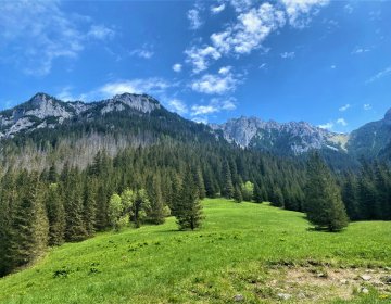 Hiking trails, including Kościeliska Valley and Chochołowska Valley