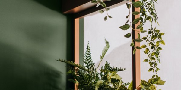 RIDERS LODGE Gallery