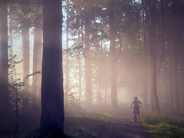 Ścieżka rowerowo-spacerowa przy Zaporze w Wapienicy