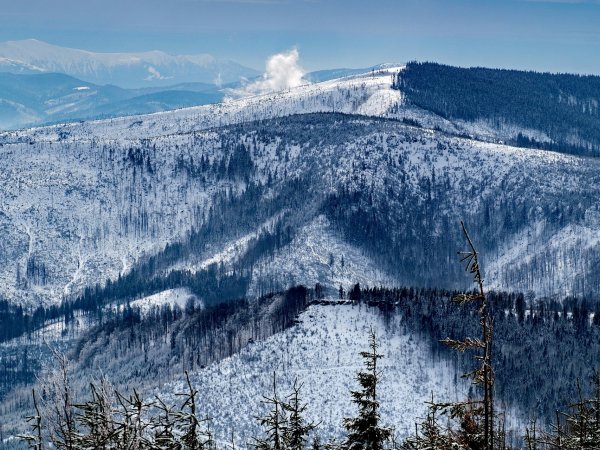 Skrzyczne (1257 m above sea level)