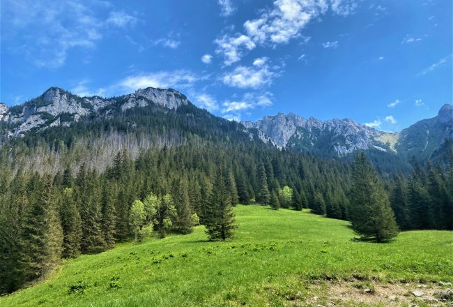 Szlaki piesze, w tym Dolina Kościeliska i Dolina Chochołowska