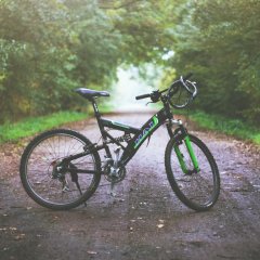 Bicycle Rental
