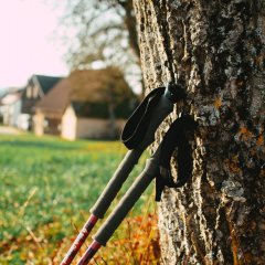 Nordic Walking