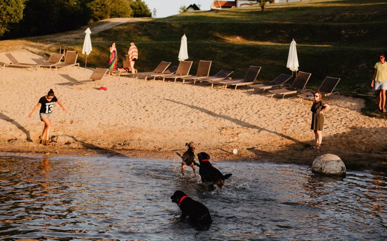 Katamarany elektryczne