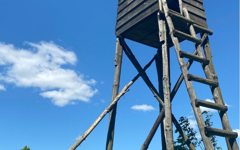 Activity Details