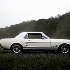 HOT_cars w HOT_elarni