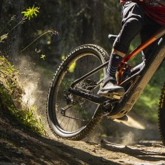 Wypożyczalnia rowerów 