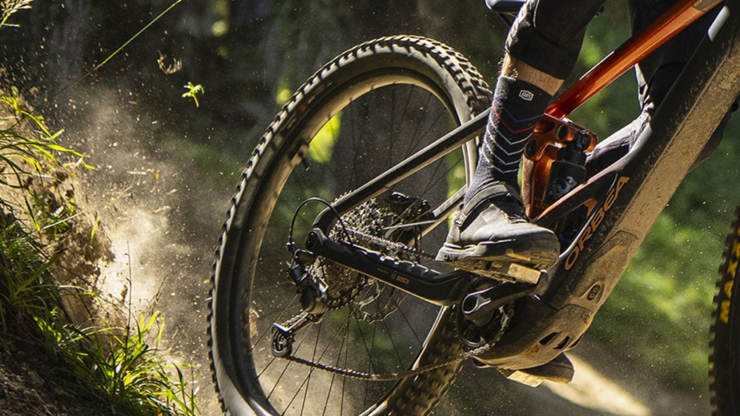 Wypożyczalnia rowerów 