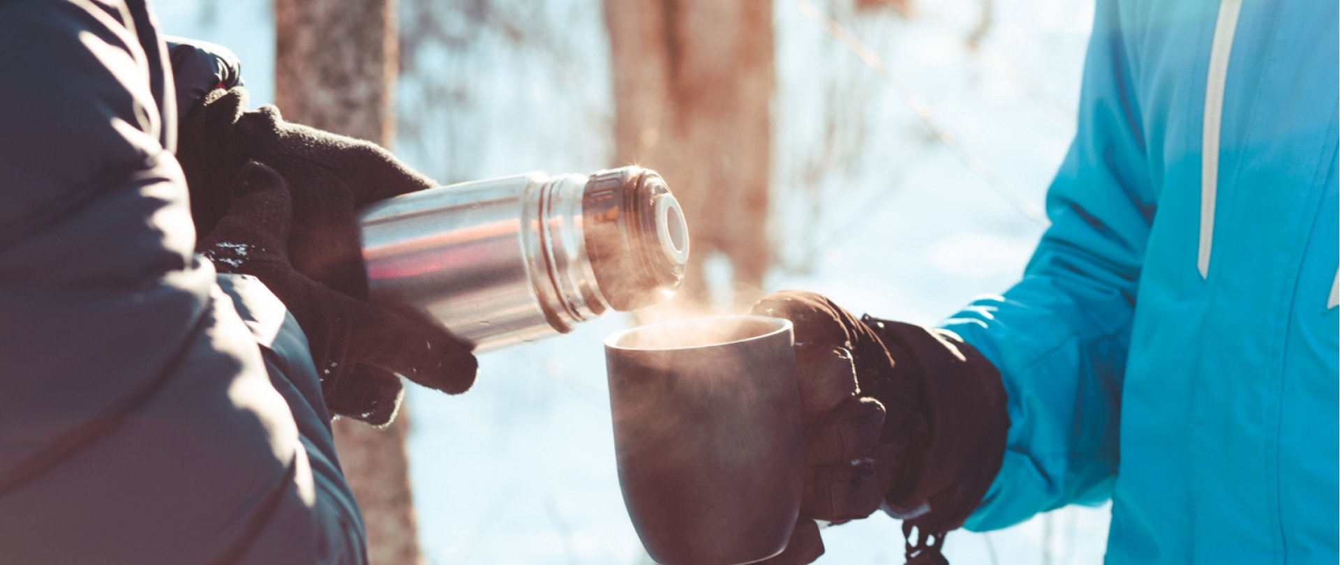 Zimowe spacery szlakami