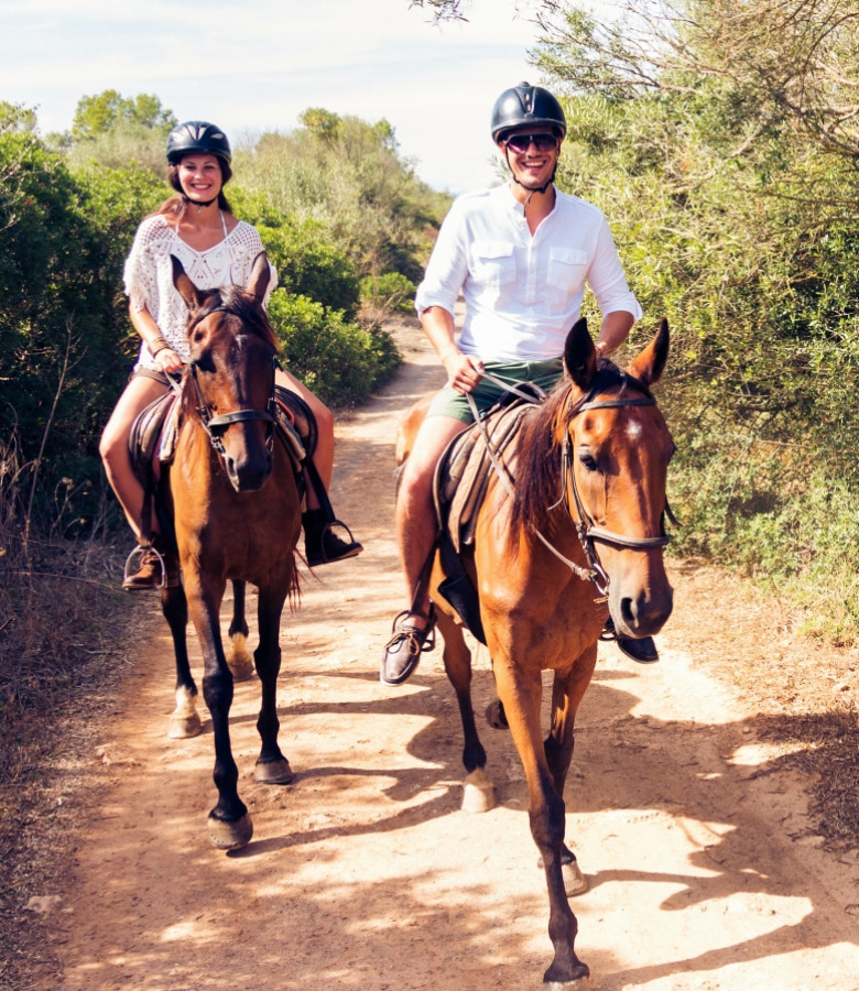 -10% Stadnina Koni Rajd