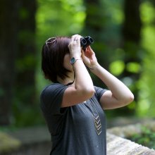 Karsiborska Kępa bird reserve