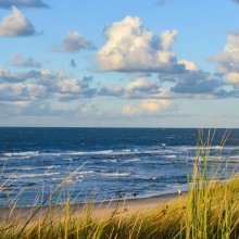 Karsiborskie Paprocie