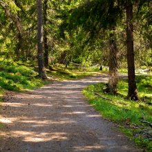 The command bunker of the coastal battery Göben "bell"