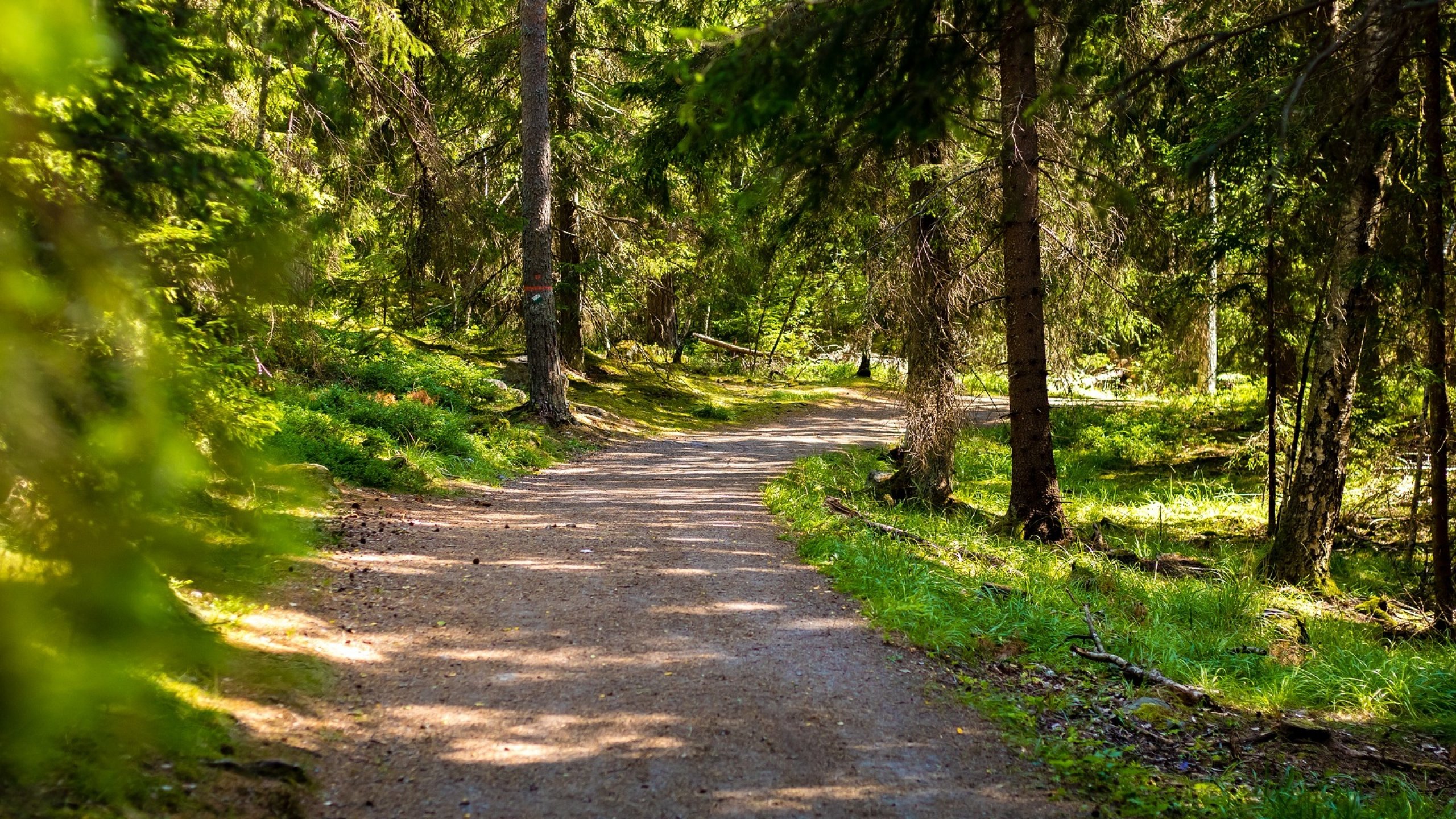 The command bunker of the coastal battery Göben "bell"
