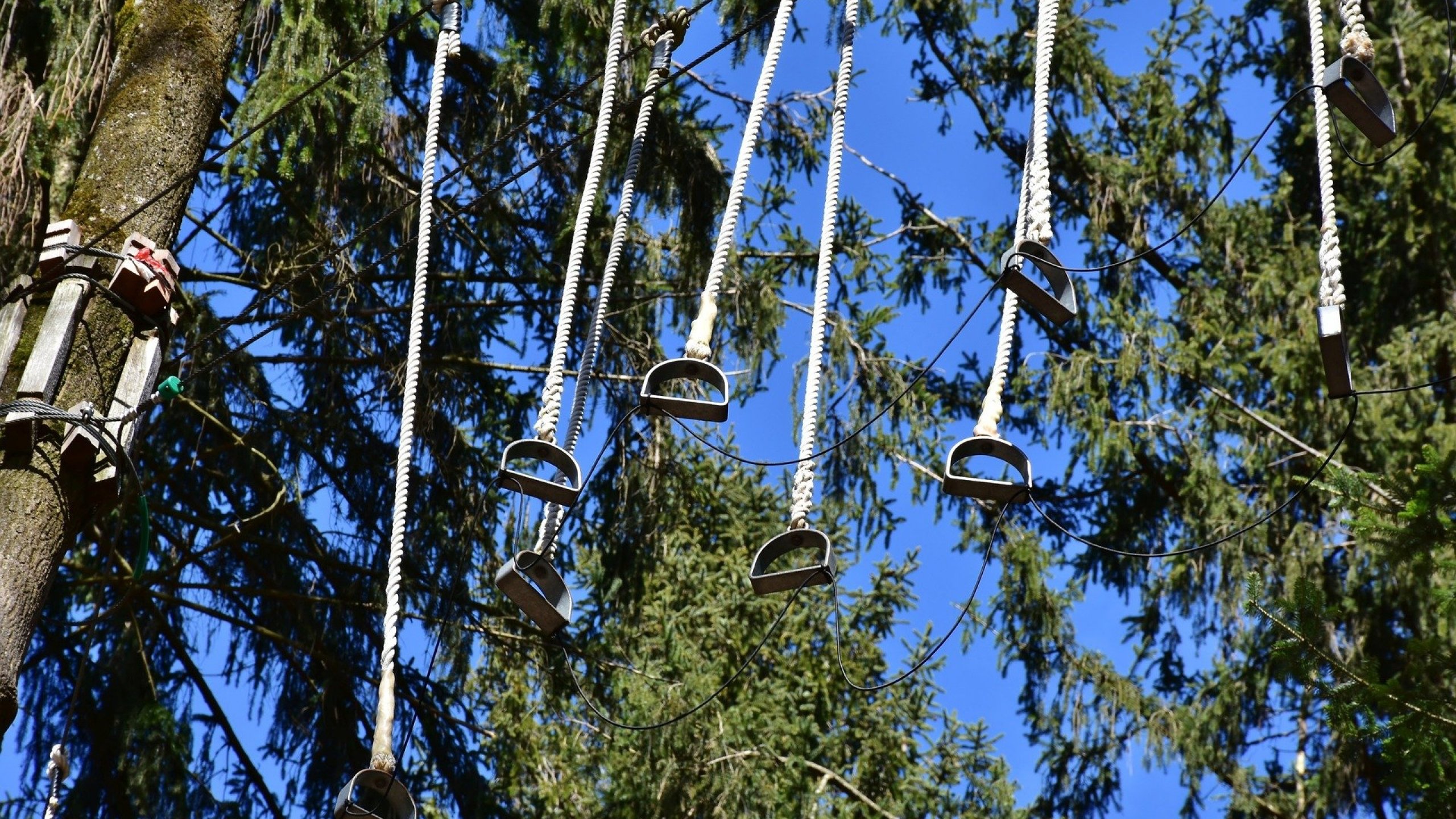 Park Linowy Bluszcz Świnoujście