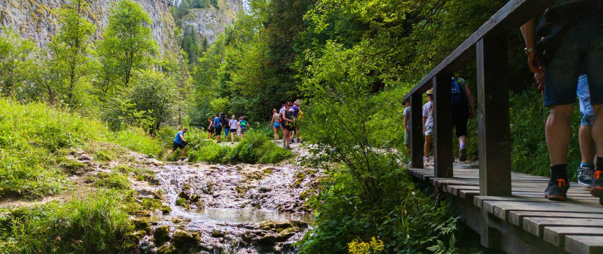 Wąw&oacute;z Homole