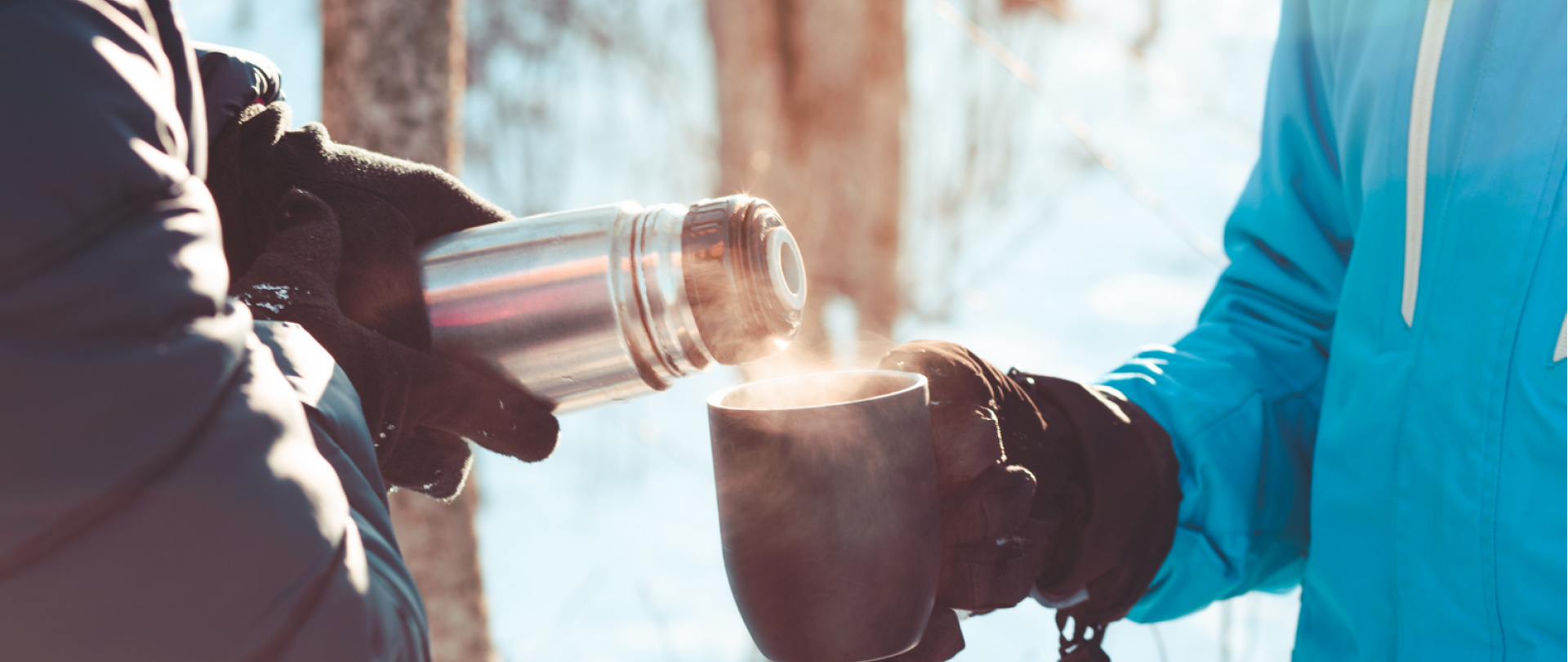 Zimowe spacery szlakami