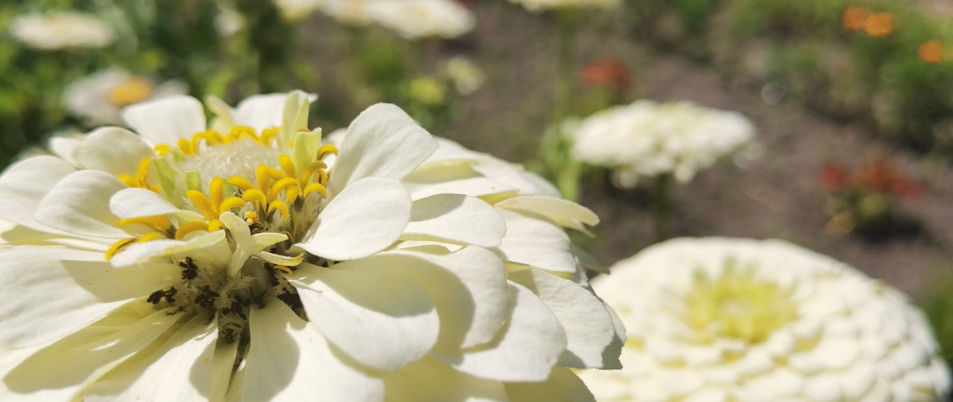 Razem dla natury - zielone działania Zamku