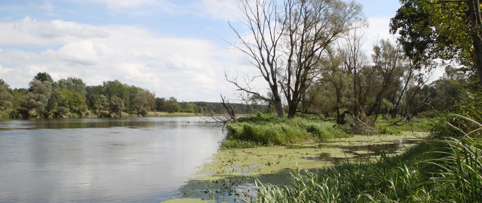 Zjazd na linie rzeką Bug