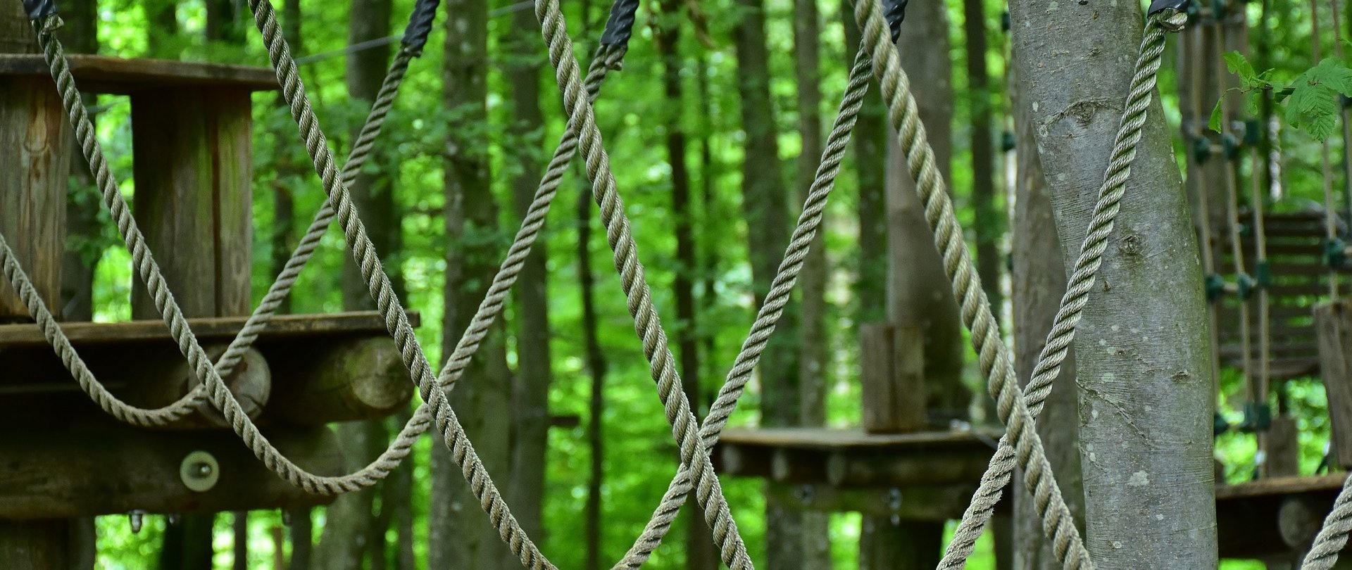 Rodzinny Park Linowy