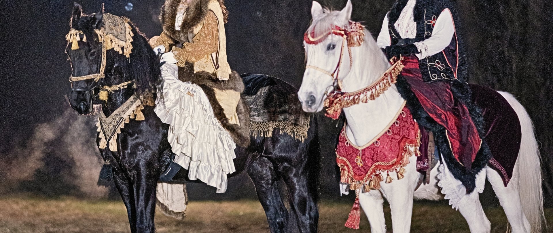 Pokazy koni arabskich