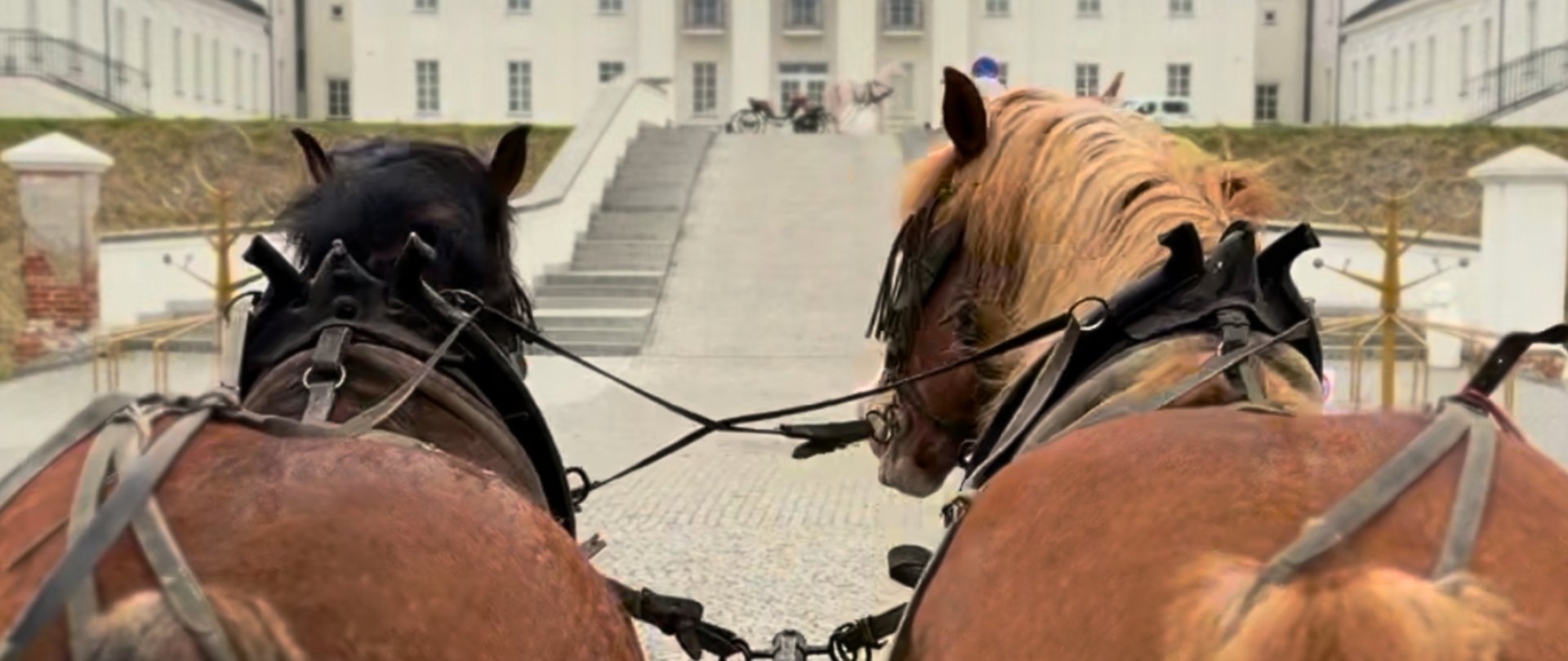 Przejażdżki wozami drabiniastymi