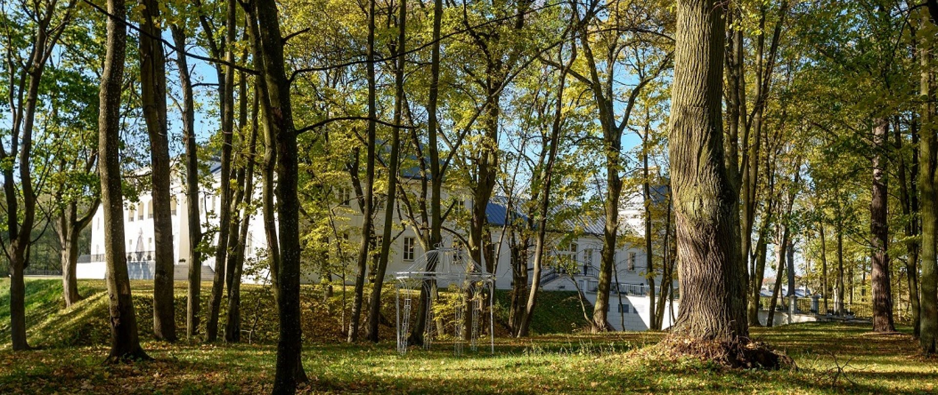 Alejki w zamkowym parku 