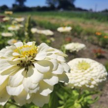 Razem dla natury - zielone działania Zamku
