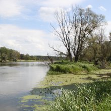 Zjazd na linie rzeką Bug