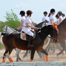 Stajnia For Pleasure