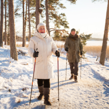 Ferie Zimowe - Program Atrakcji
