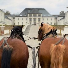 Przejażdżki wozami drabiniastymi