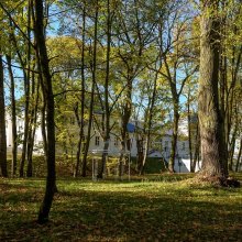 Alejki w zamkowym parku 