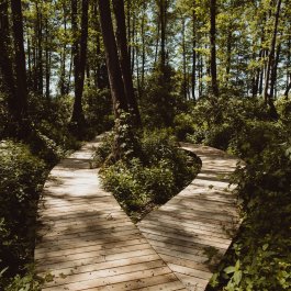 Hotel i jego otoczenie